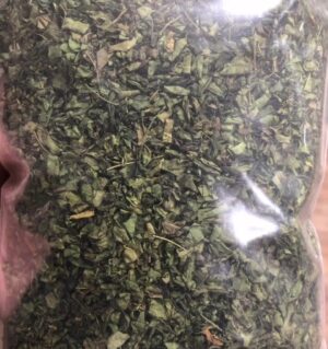 Moringa