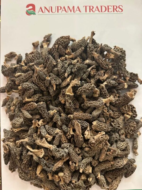 Morchella Mushrooms