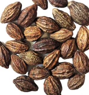 Harro (Terminalia chebula)