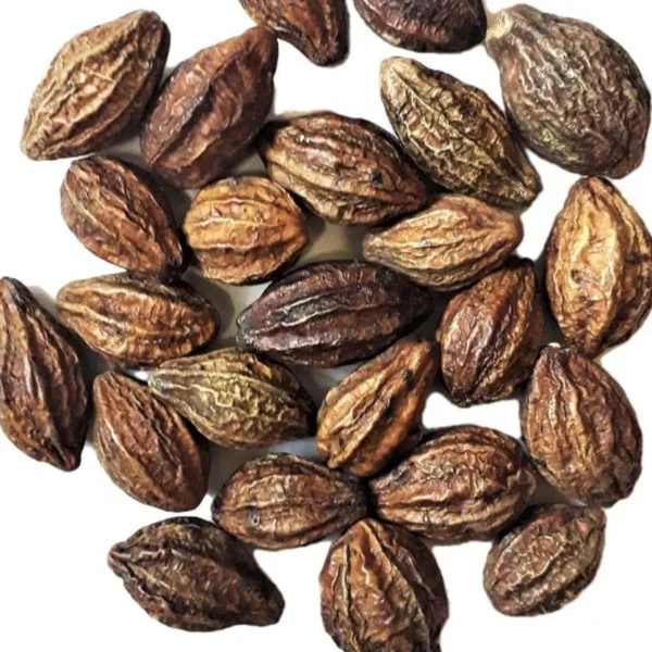 Harro (Terminalia chebula)
