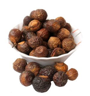 Reetha (Sapindus mukorossi)