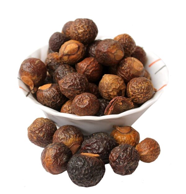 Reetha (Sapindus mukorossi)