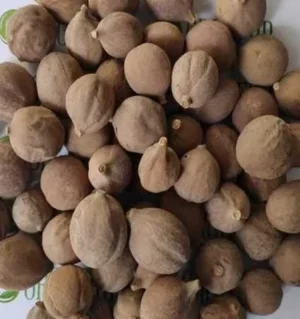 Barro (Terminalia Bellirica)